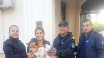 En San Luis del Palmar, la Policía de Corrientes rescató a un perro